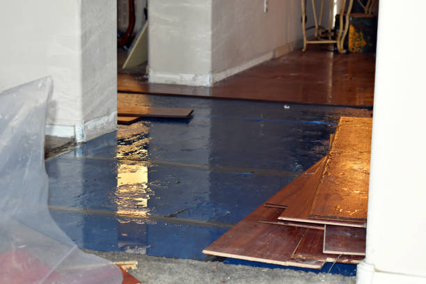 Professional Water Extraction technician working in Dunbar, WI